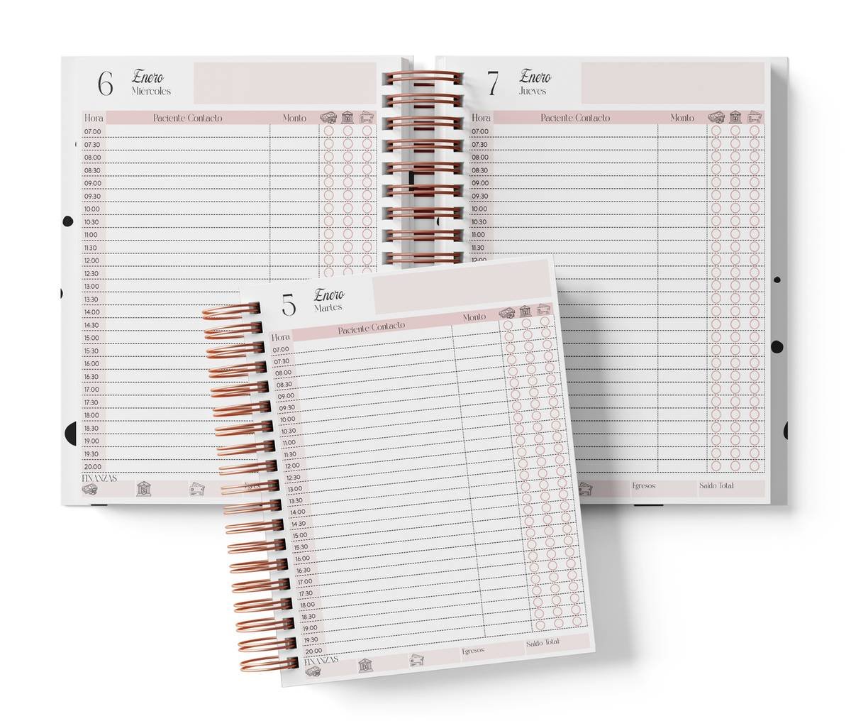Diario cada 30 minutos, color rosa, del Pack Médico 2027. Mockup original del interior PDF de 410 páginas; muestra de impresión.