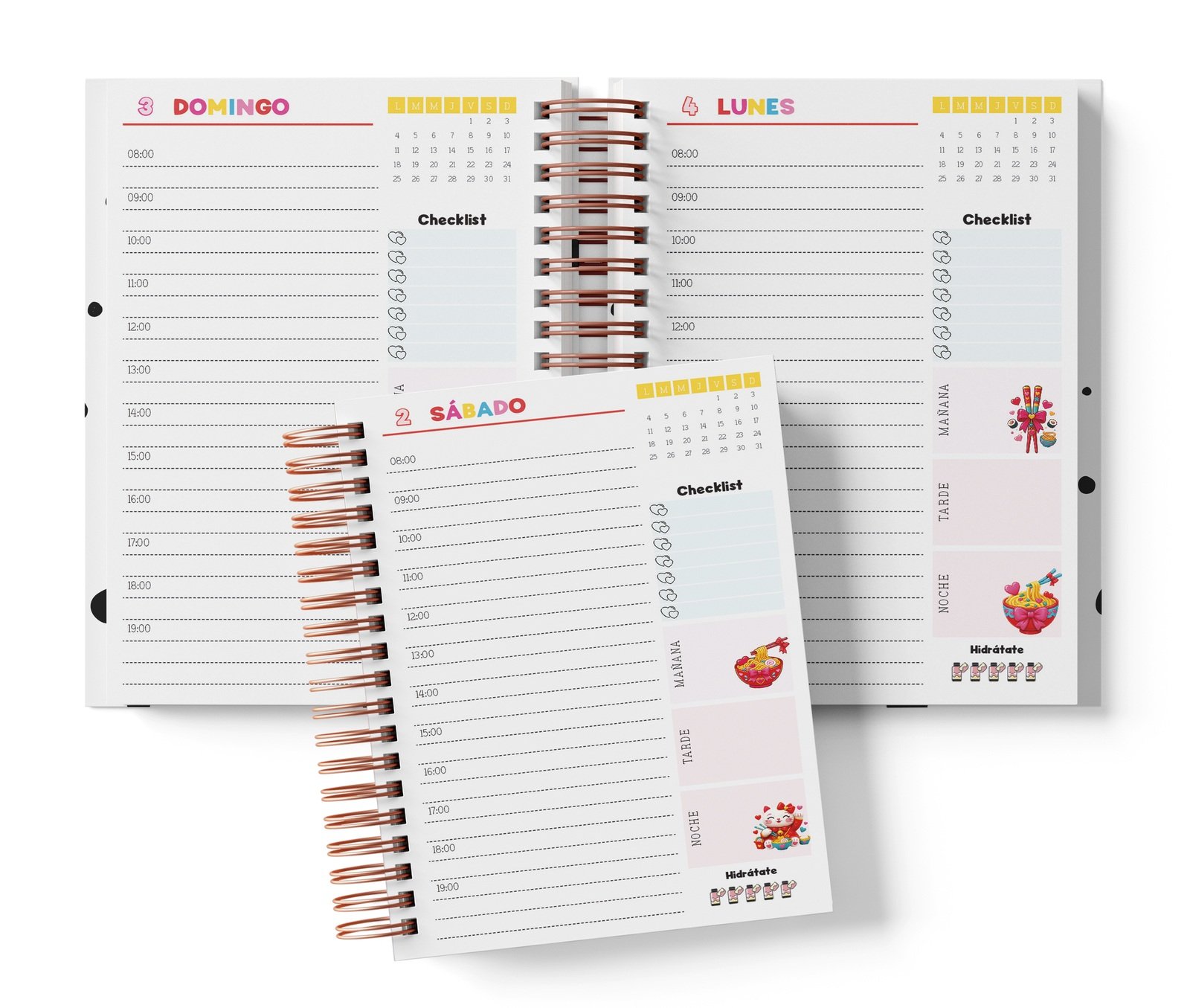 Diaria Pucca con horario de 08:00 a 19:00, Checklist y bloques de mañana, tarde y noche.