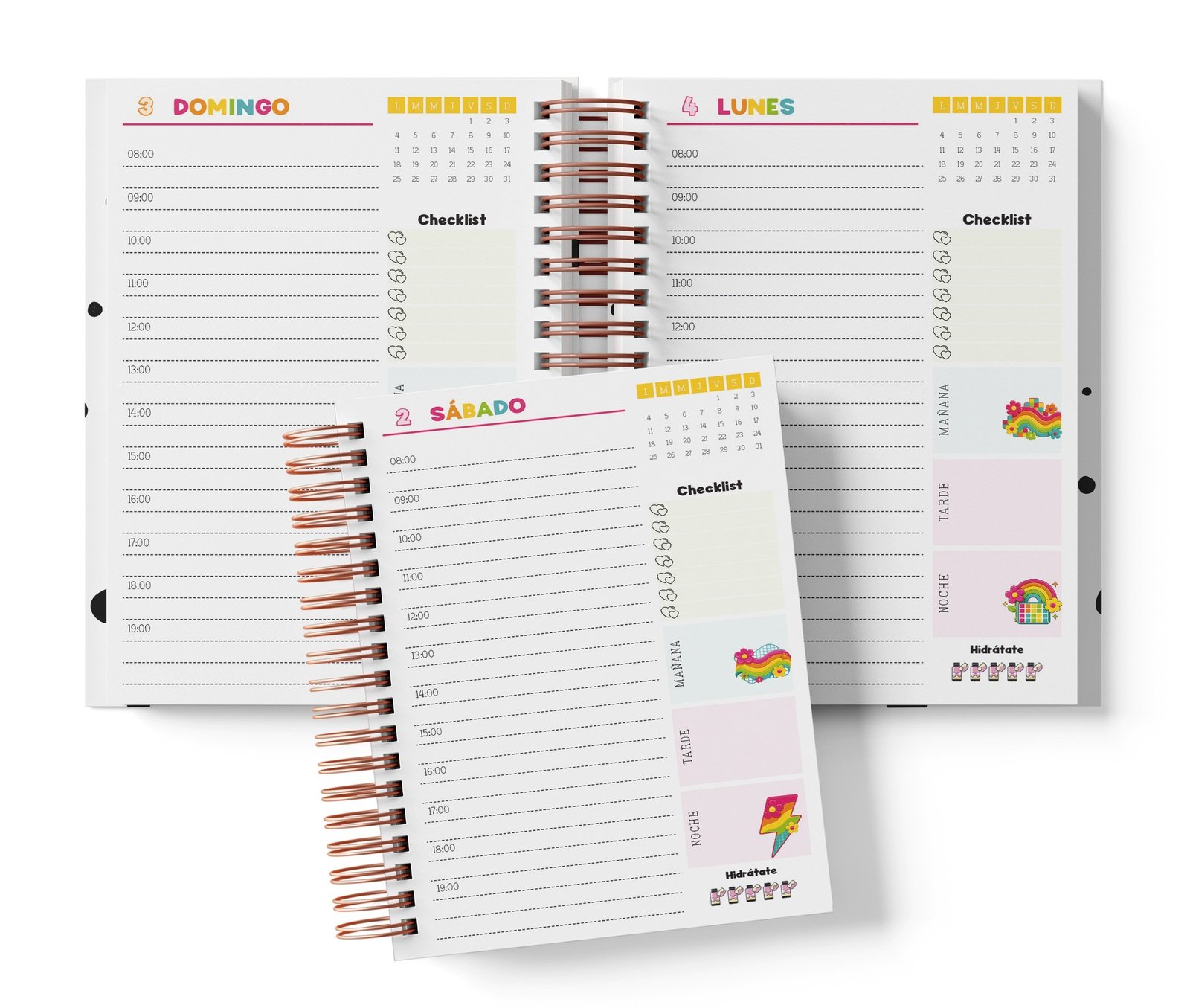 Diaria Rainbow con horario de 08:00 a 19:00, Checklist y bloques de mañana, tarde y noche.