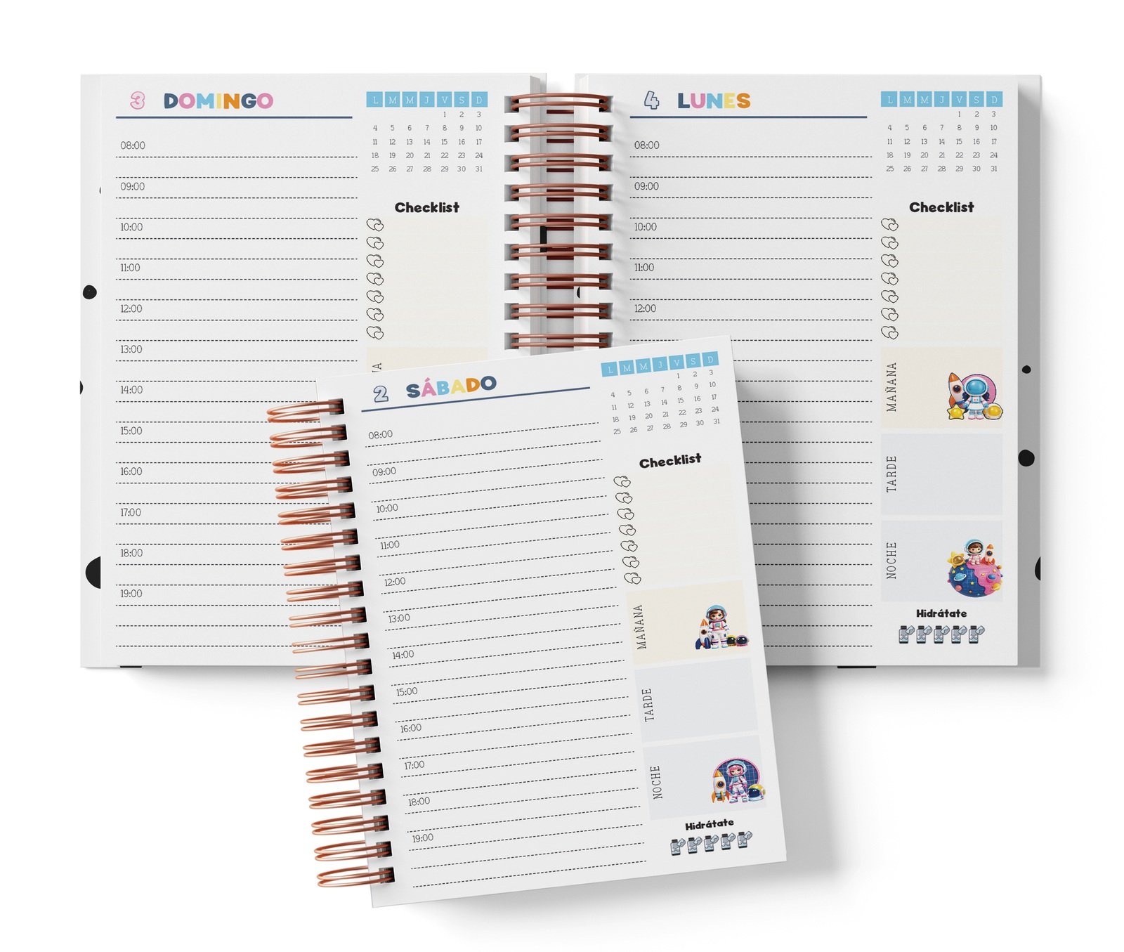 Diaria Star con horario de 08:00 a 19:00, Checklist y bloques de mañana, tarde y noche.