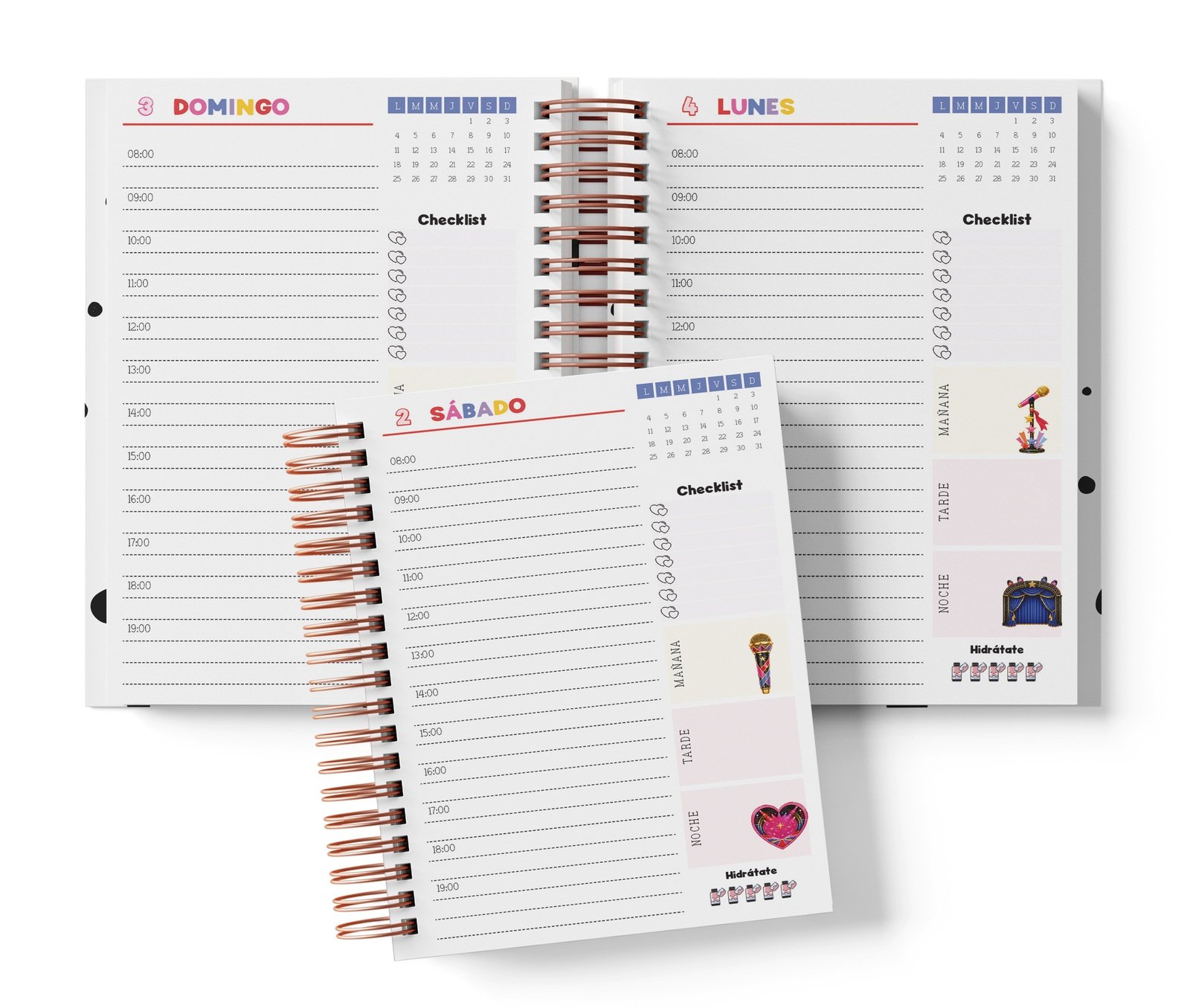 Diaria Taylor Swift con horario de 08:00 a 19:00, Checklist y bloques de mañana, tarde y noche.