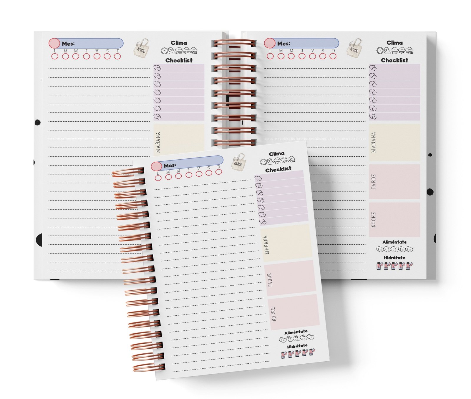 Planner diario Taylor Swift con Mes y selector de día por completar, clima, Checklist, alimentación e hidratación.