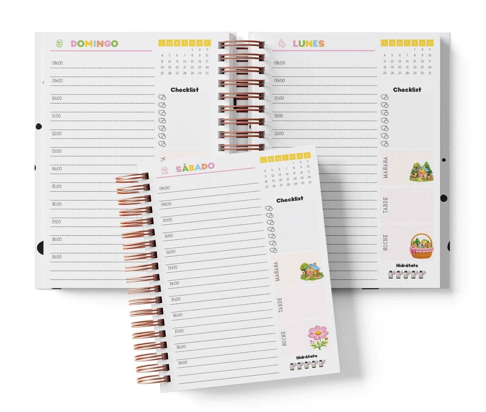 Diaria Ternurines con horario de 08:00 a 19:00, Checklist y bloques de mañana, tarde y noche.